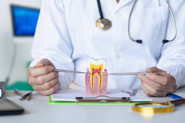 Best Urgent Care for Lost Fillings or Crowns in Cloverdale, VA